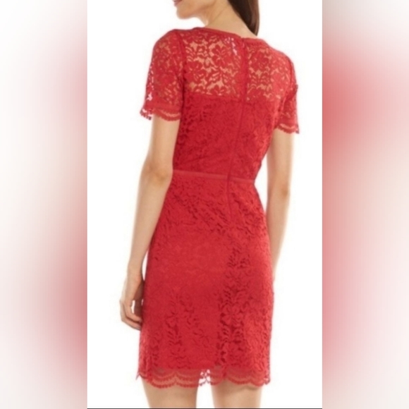 Elle Lady in Lace Red Dress size 2 - Picture 2 of 7